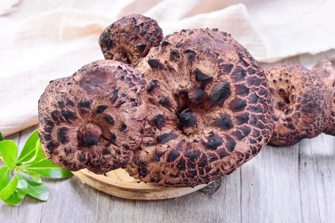 野生菌大量上市盘点云南野生菌六宗最