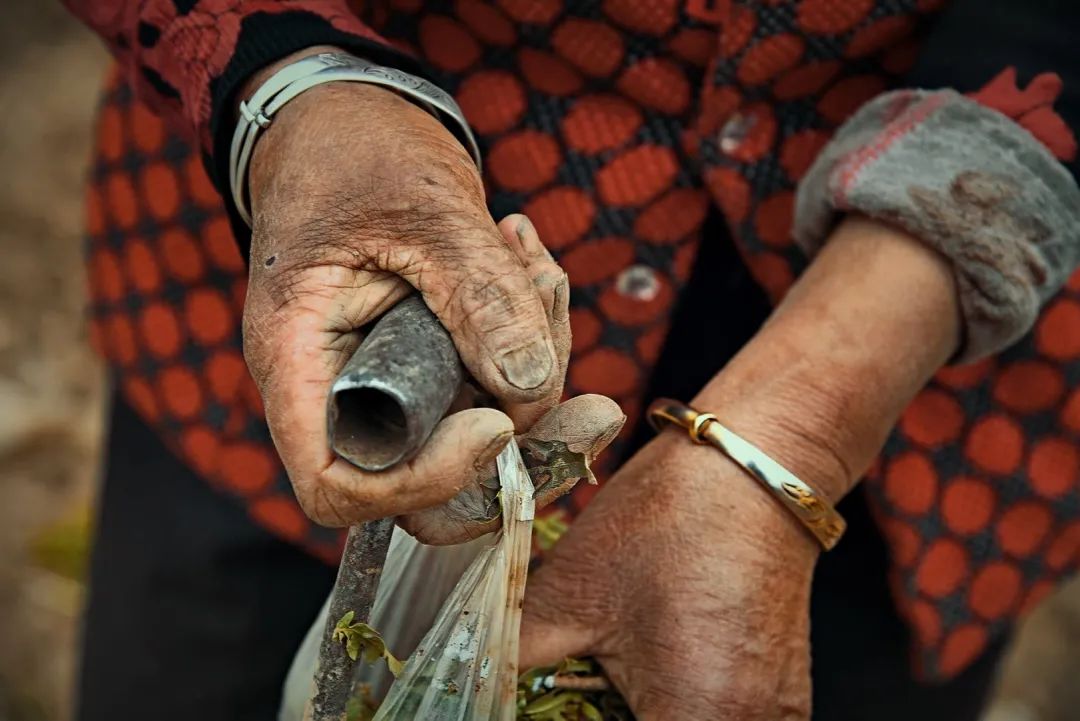 拍客小城里的别样风景泾源小伙用三组照片记录百态人生