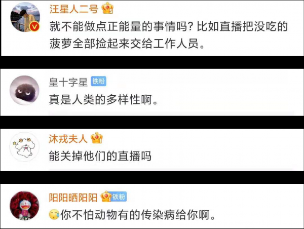 主播吃播云南象群吃剩的菠萝，被骂了休闲区蓝鸢梦想 - Www.slyday.coM