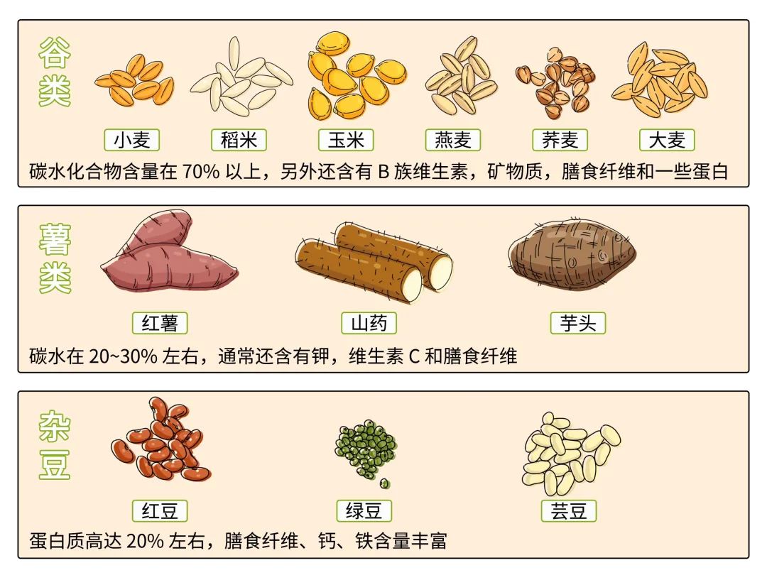 不一定能够适应,可能会出现消化不良的情况;薯类热量虽低但蛋白也较低