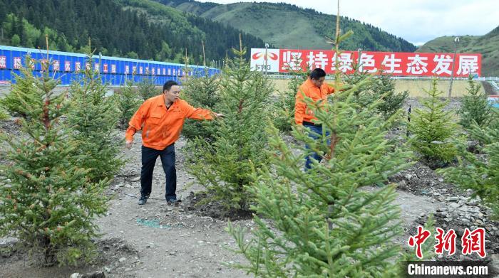 久马高速建设者在苗木验证试验基地查看树木生长情况。刘忠俊 摄