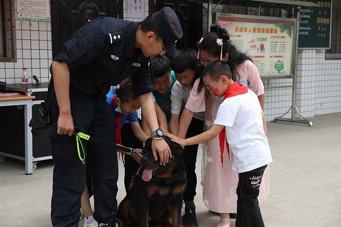 “六一”特别体验：神犬奇兵走进沣西新城五席坊小学