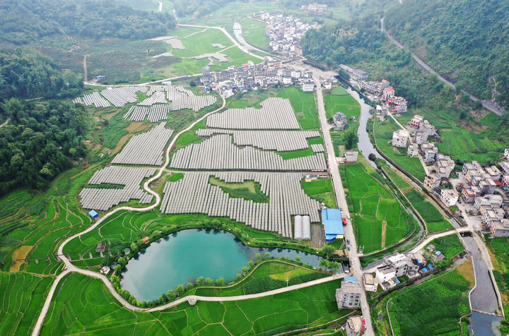 这是广西东兰县武篆镇东里村新貌，共耕渠从村中穿越而过（5月7日摄，无人机照片）。 新华社记者 陆波岸 摄