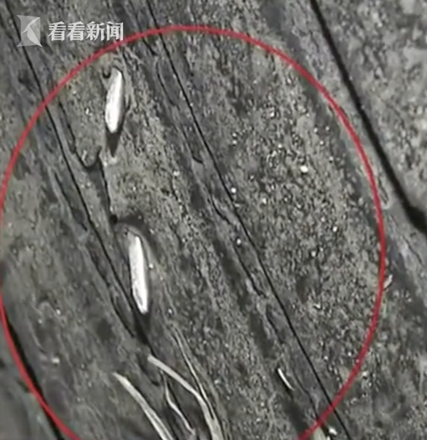 60公里高速全是钉子！百余辆车轮胎被扎破 嫌疑车辆找到了！休闲区蓝鸢梦想 - Www.slyday.coM