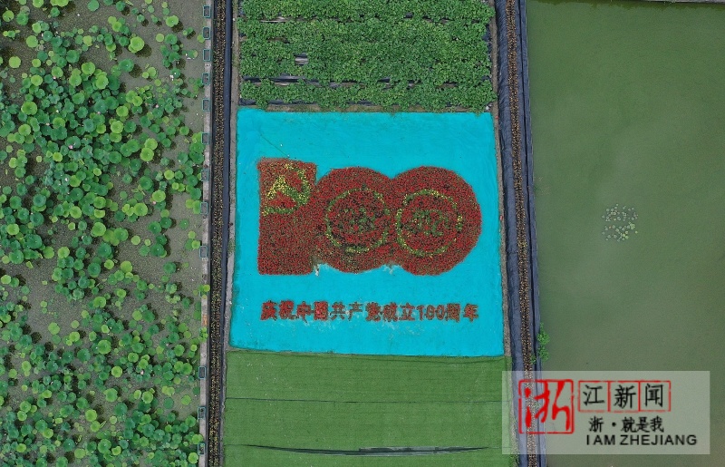 杭州花卉拼图喜迎建党百年