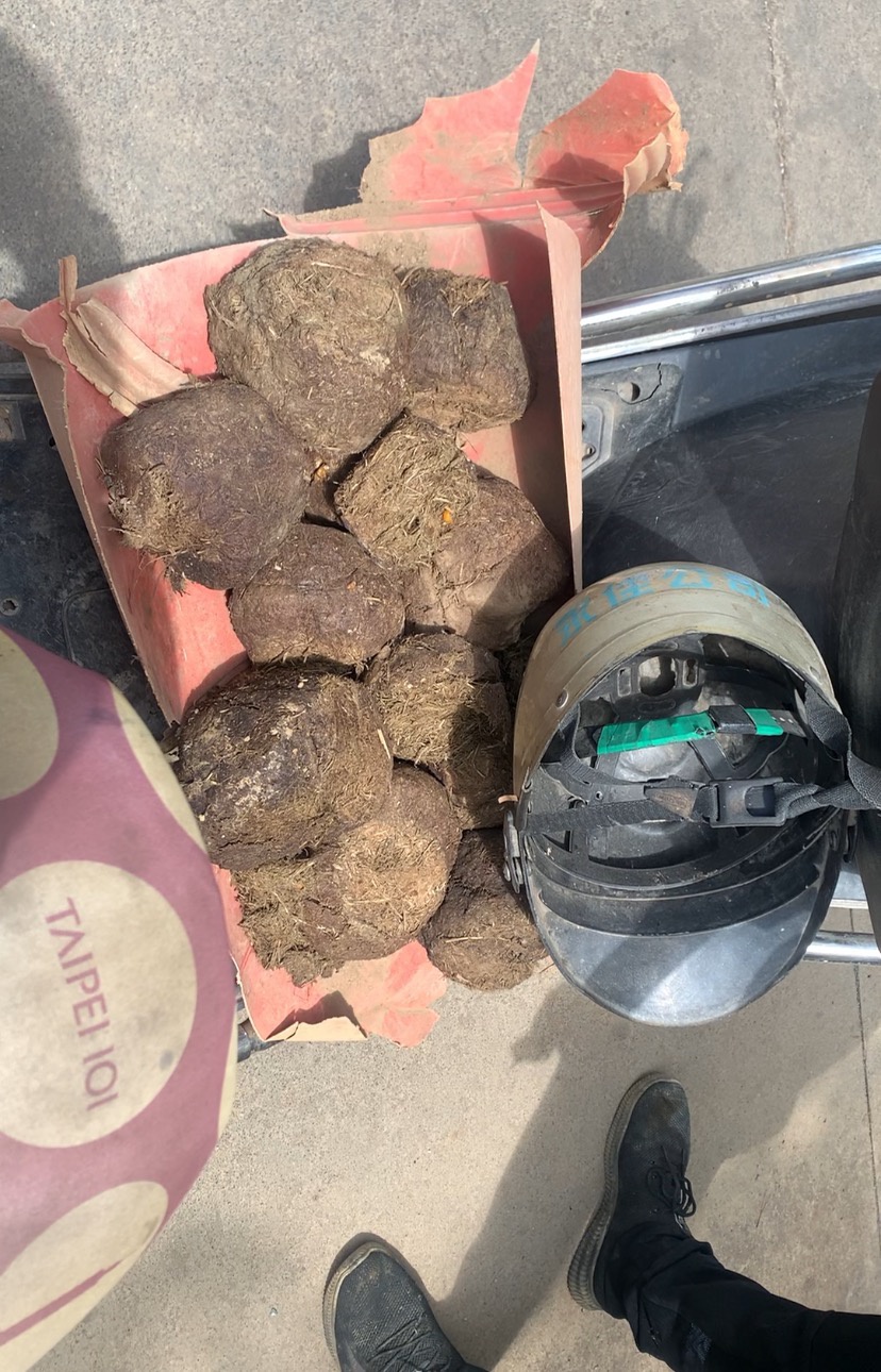 直击野象北上交通管制点:为好玩捡大象粪,为流量追象群直播