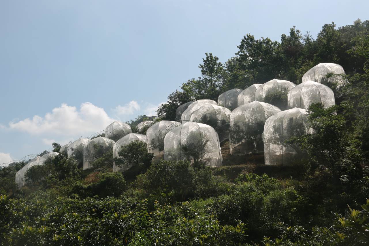 高速公路进气格栅