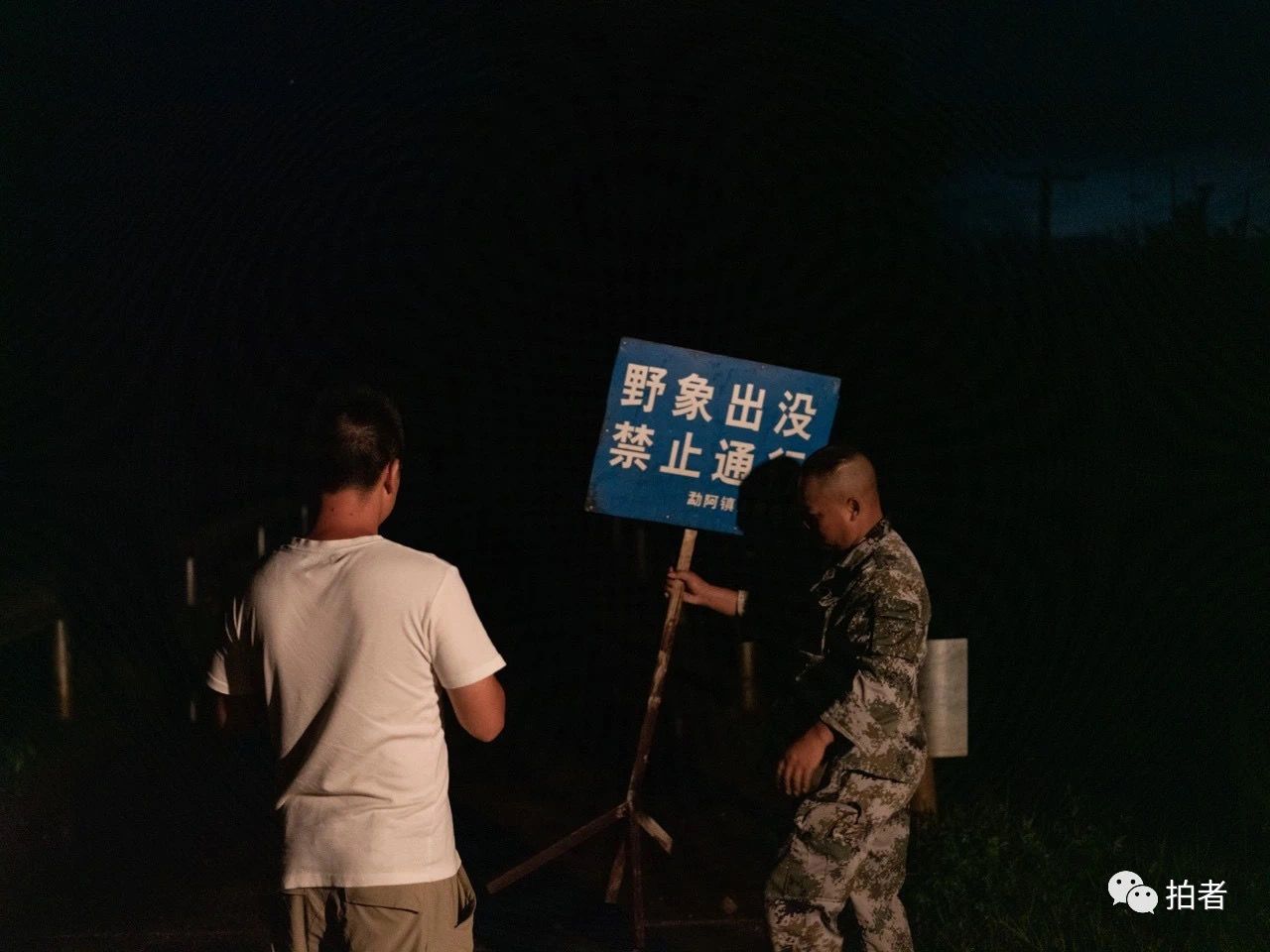 勐海县勐阿镇，亚洲象监测队员在路口竖立禁止通行警告牌。