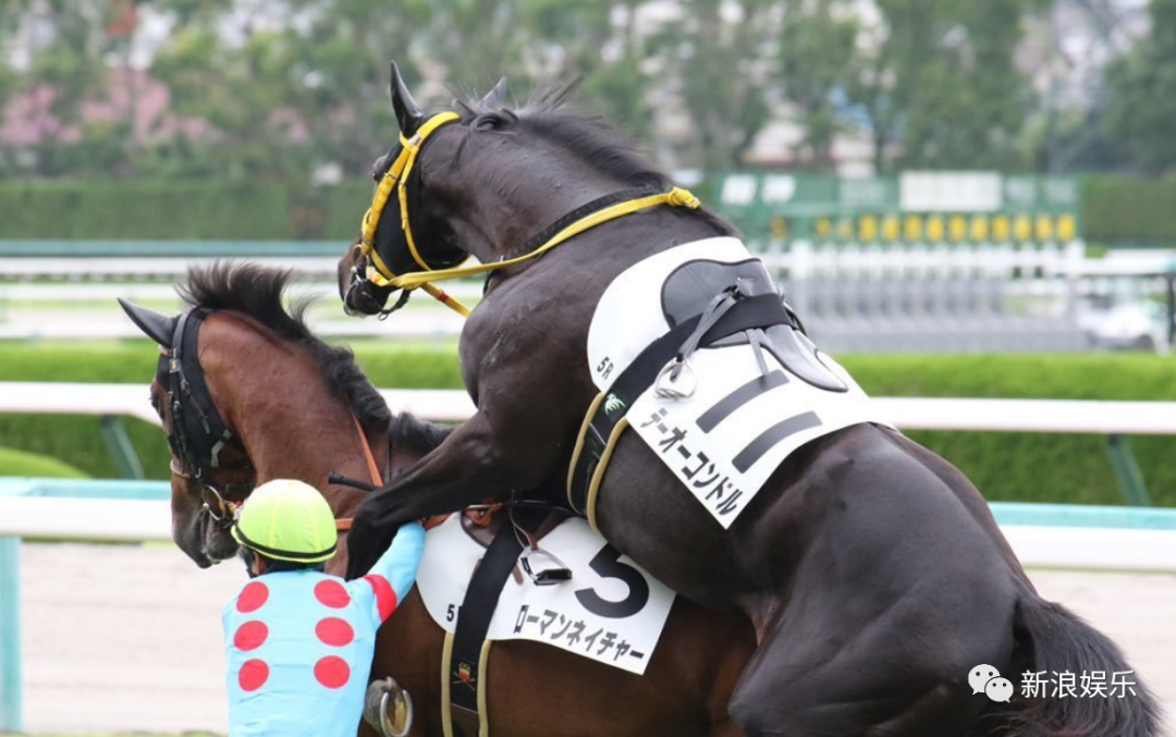 我看不懂,但我大受震撼|日本_新浪新闻