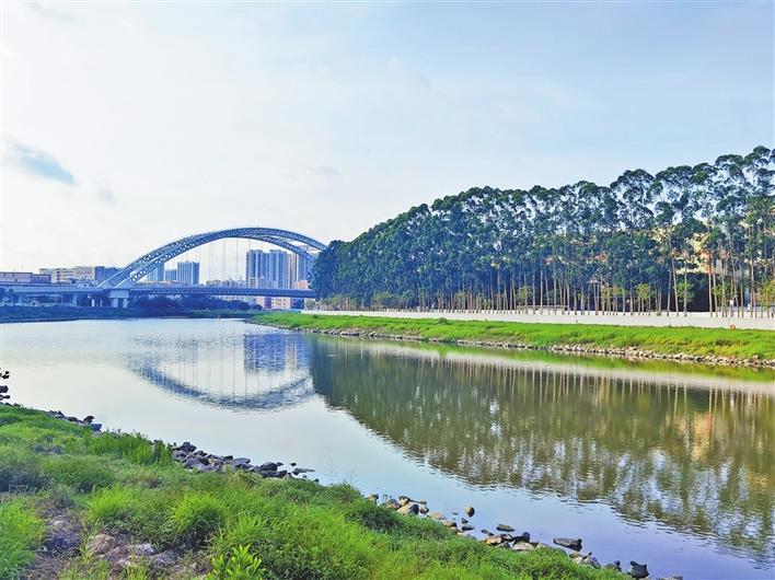 茅洲河水清岸绿. 温文杰 摄