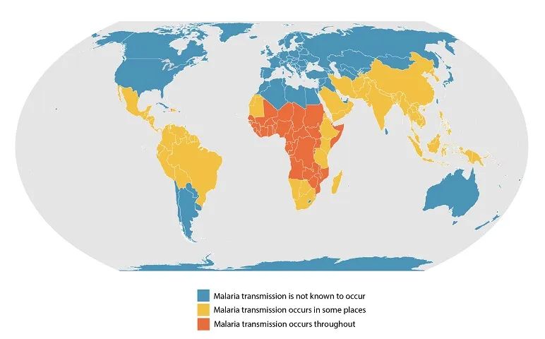 图片说明：全球疟疾传播地图。蓝色区域没有疟疾传播，黄色区域的部分地区仍存在疟疾传播，橘色区域全境都存在疟疾传播。图片来源：美国疾控中心官网