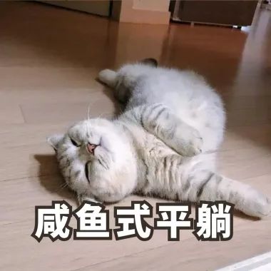 每天都在爆单的水蜜桃本年度最后一波