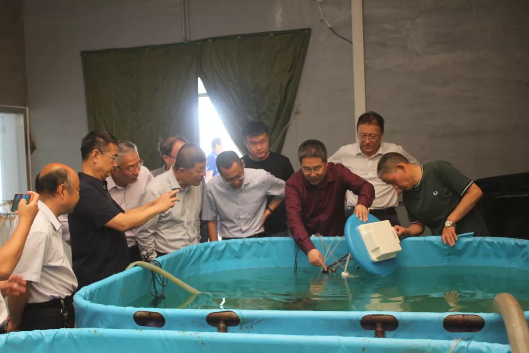 管理成本降30多项新技术助推工厂化养虾发展