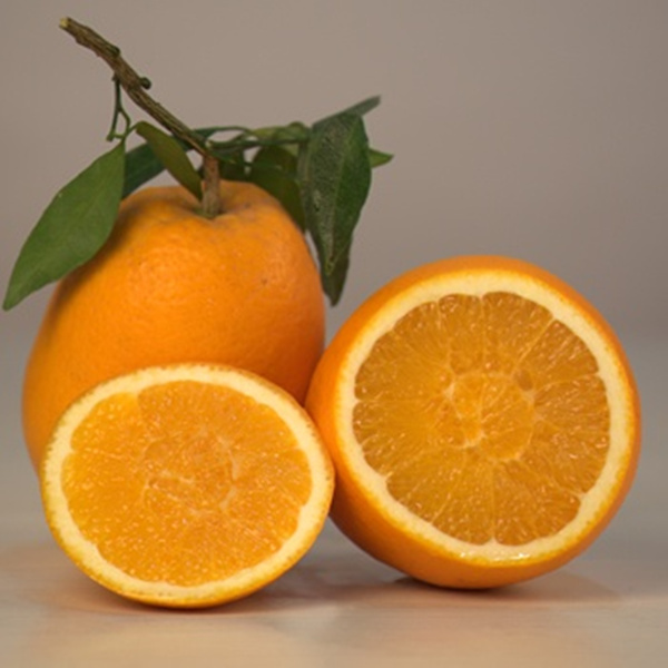 重庆特产传说525既像梨又像秤砣的渝北梨橙你吃过吗