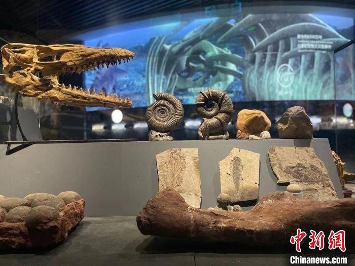 来自云南澄江古生物化石的远古呼唤