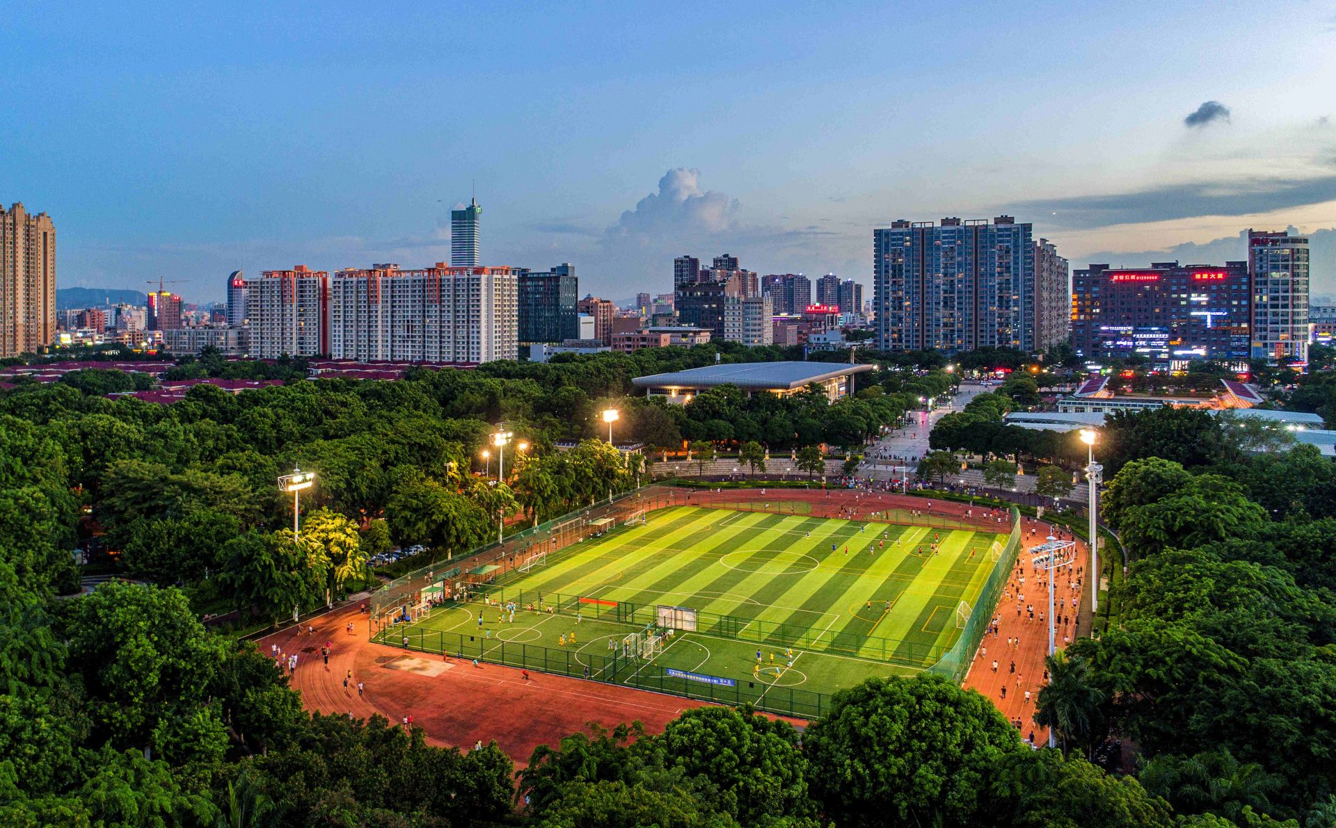 "生态东莞,美丽家园"摄影大赛结果出炉|东莞市|生态环境_新浪新闻
