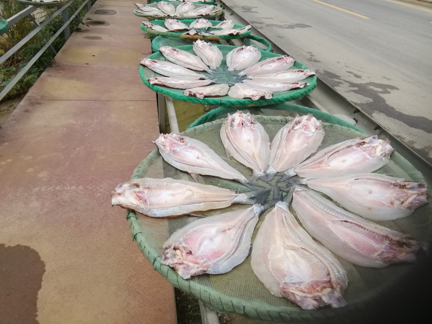 才下渔船,却上直播,风干鱼造福六门闸!|刘静|风干鱼|门闸_新浪新闻