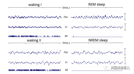 澳洲男子半夜猥亵9岁女儿，却因为"睡眠障碍"被判无罪？休闲区蓝鸢梦想 - Www.slyday.coM