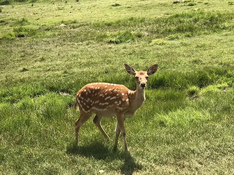 一样的线路一样的服务一样的价格只要79元/人一价全含渭源元古堆村