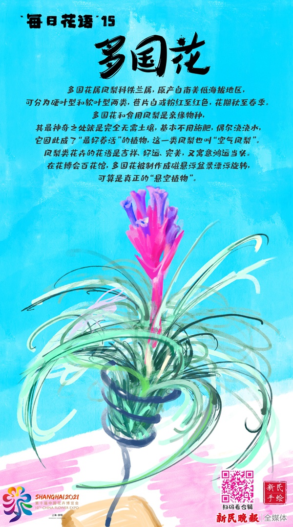 正文  手绘:王嘉玮   文案:李一能   手绘花博会