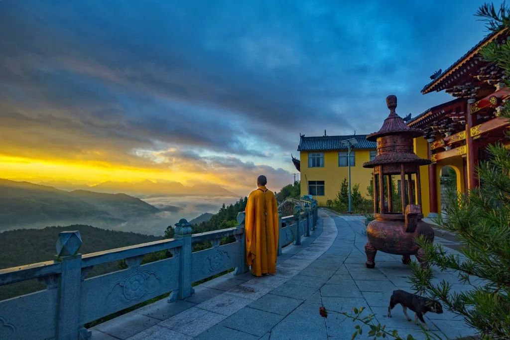 中国最帅和尚29岁辞职出家被富婆倒追不为所动现状曝光惊艳全网