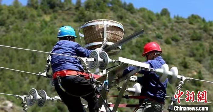 国网青海电力:三江源4000多个"人工鸟巢"实行一体化管理