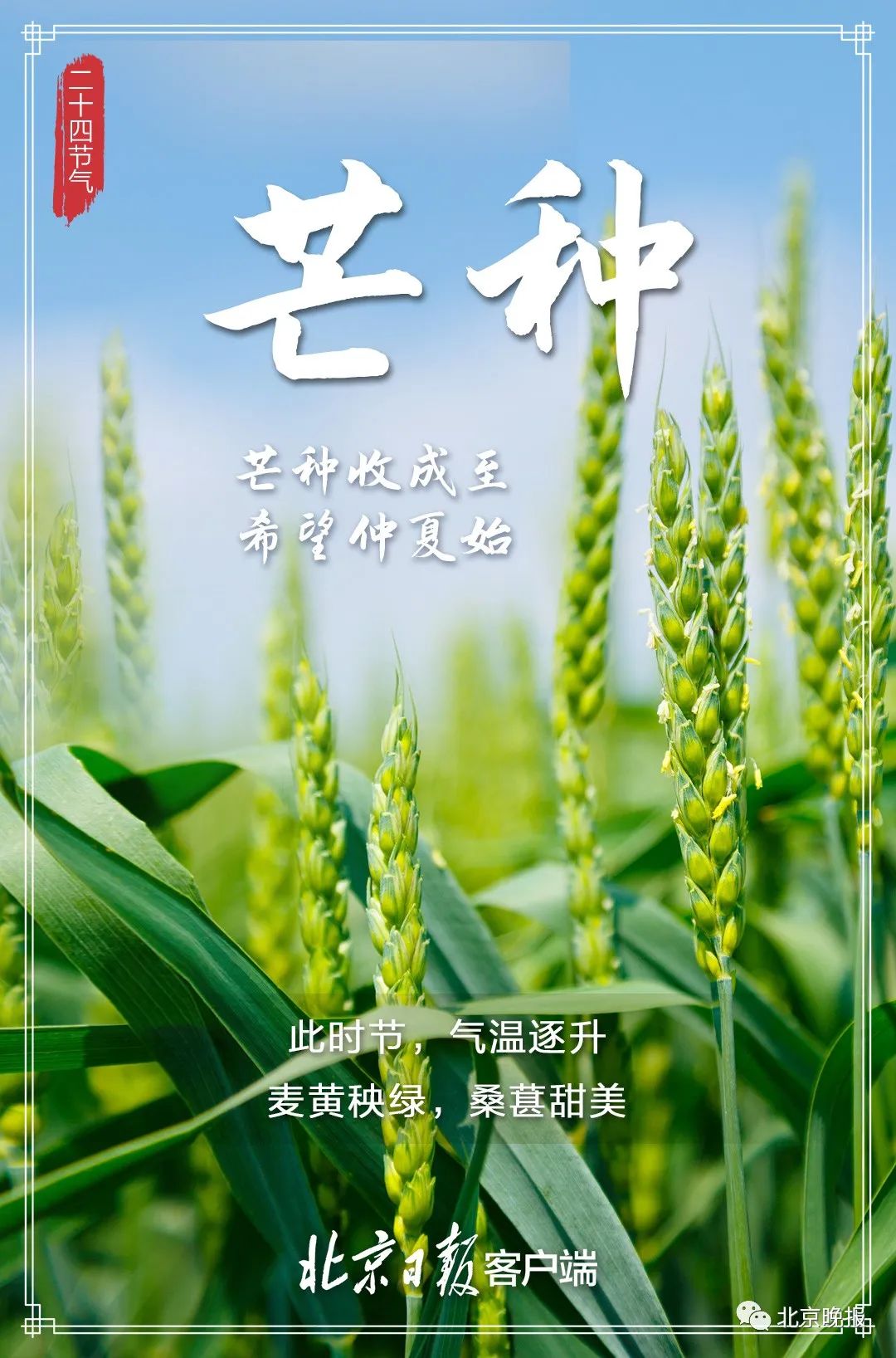 今日芒种,京城最高温33