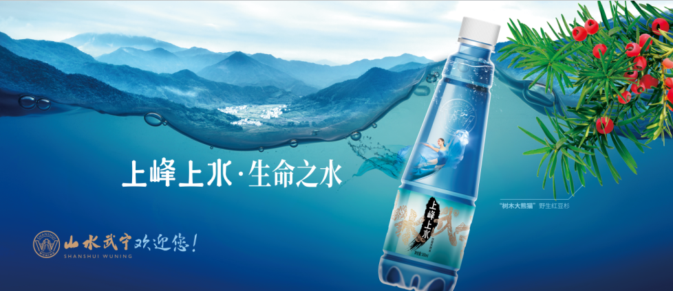 特别鸣谢 九江市,庐山市爱心出租车司机群体 武宁西海出租车有限公司