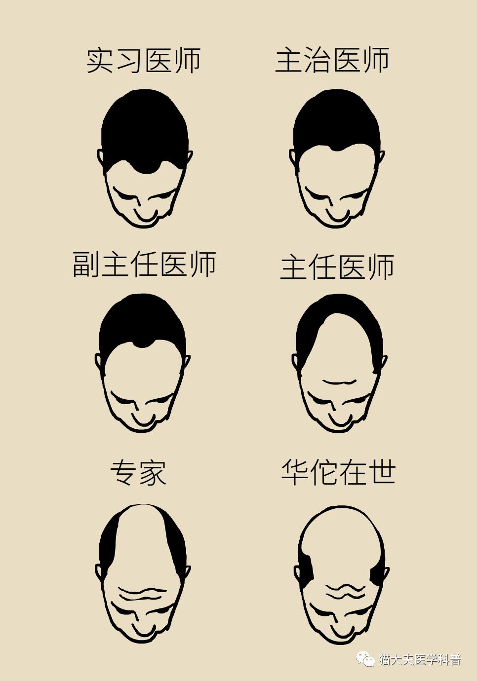 猫大夫简介缪中荣,主任医师,教授,博士生导师.