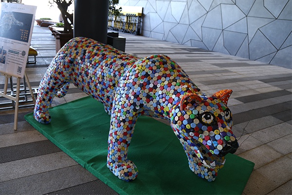 用废旧塑料瓶盖制作的"华北豹"(央广网李艳琴摄)