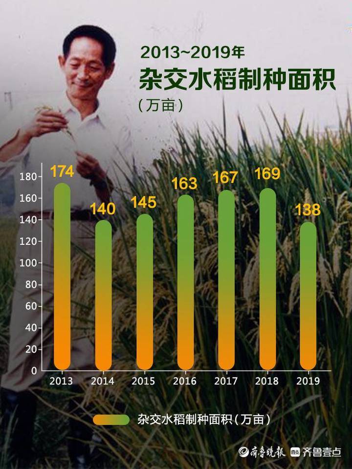 数说壹点一组数据告诉你中国杂交水稻到底多厉害