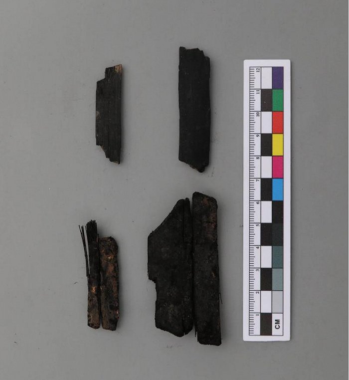 碳化竹片图片来源：成都文物考古研究院
