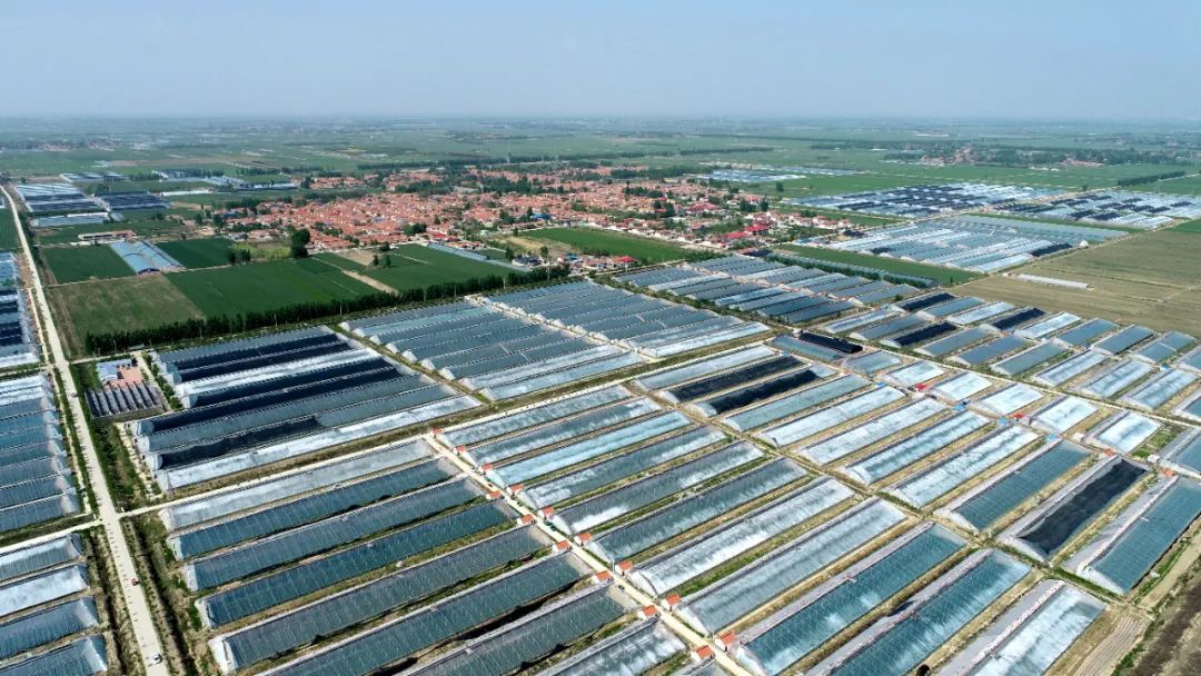 图为鸟瞰图(平度市扶贫办提供)