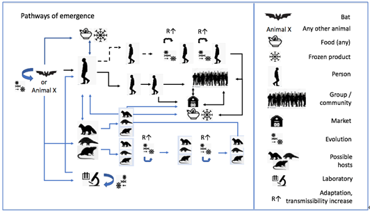 世卫报告：华南海鲜市场在疫情起源中的作用目前尚无确切结论休闲区蓝鸢梦想 - Www.slyday.coM