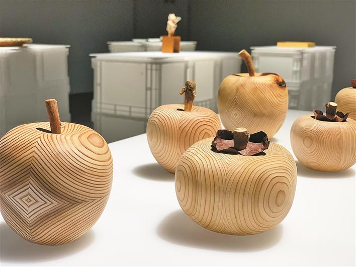 华·美术馆推出新展"长效设计"