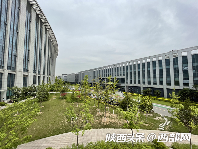 今日高温排行_骄阳似火,今天宁德各地高温排行榜来了,霞浦竟然……