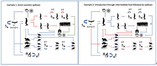 世卫报告：华南海鲜市场在疫情起源中的作用目前尚无确切结论休闲区蓝鸢梦想 - Www.slyday.coM