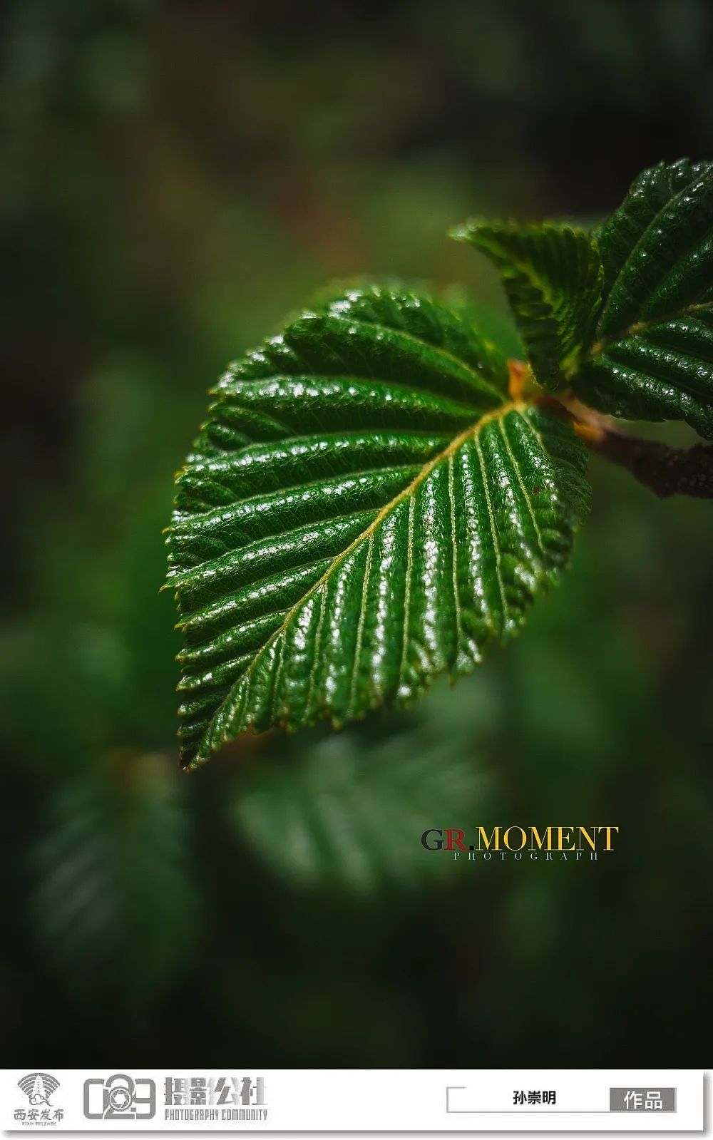 有阵雨或雷阵雨,23℃～34℃;今晚到10日:多云转晴,20℃～35℃;6月11日