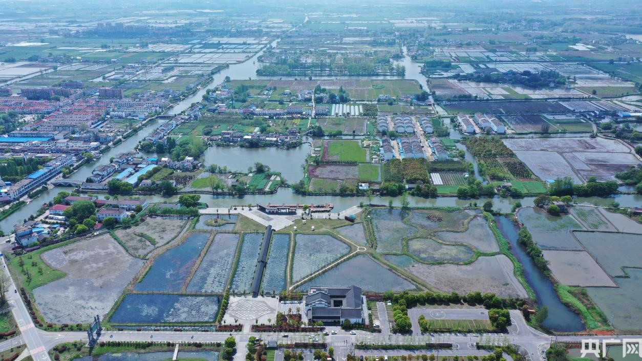 (央广网发 陶辛镇供图)