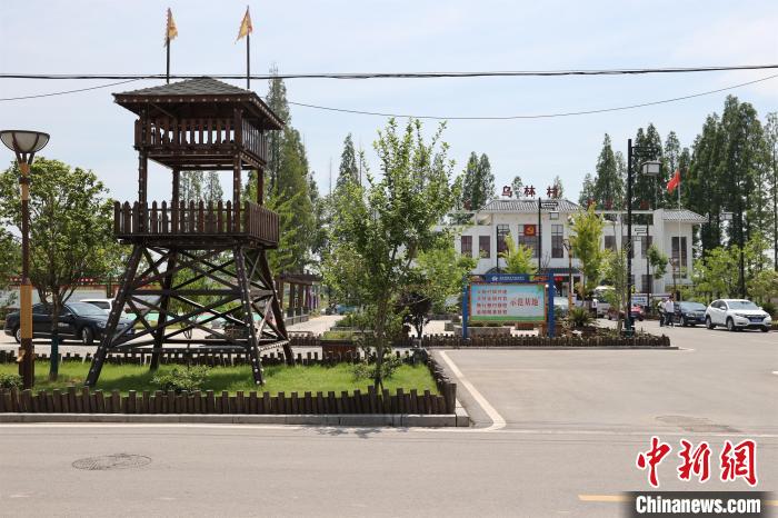 【网络媒体革命老区行】洪湖乌林镇展新貌:涨了"颜值" 解了"乡愁"