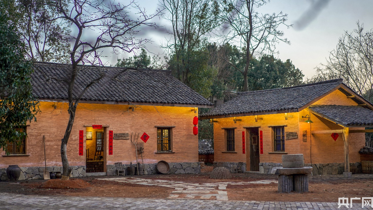 走进芜湖湾沚探寻乡村振兴大文章