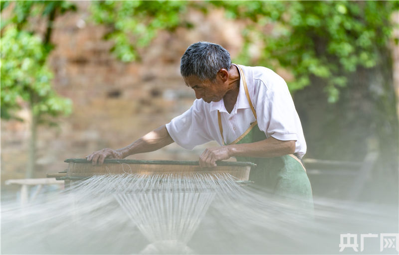 夏布之乡收获苎麻忙制布