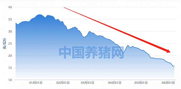 近半年中国生猪（外三元）价格变动趋势；图片来源：养猪数据中心