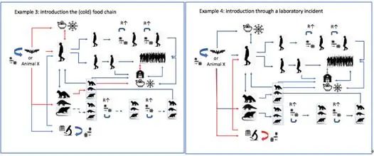 新冠病毒全球溯源中国部分公布，华南海鲜市场不是疫情发源地休闲区蓝鸢梦想 - Www.slyday.coM