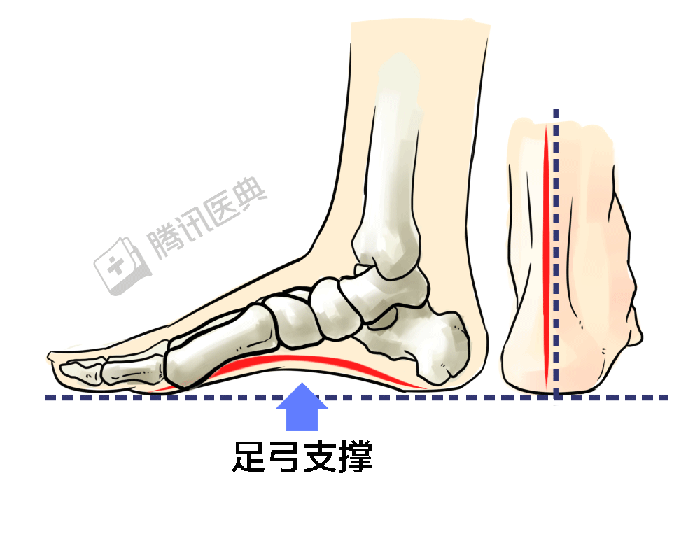给爸妈买老人鞋的你 可能被坑了 孝心税 骨折 新浪科技 新浪网 给爸妈买老人鞋的你 可能被坑了 孝心税 骨折 新浪科技 新浪网