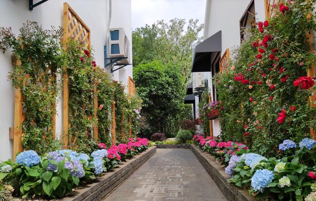 2021南京首届乡村民宿服务技能大赛在浦口开幕