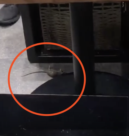 热搜第一！和府捞面门店惊现老鼠尸体？店员淡定扔进后厨…刚刚，官方道歉了，此前刚获得8亿融资休闲区蓝鸢梦想 - Www.slyday.coM