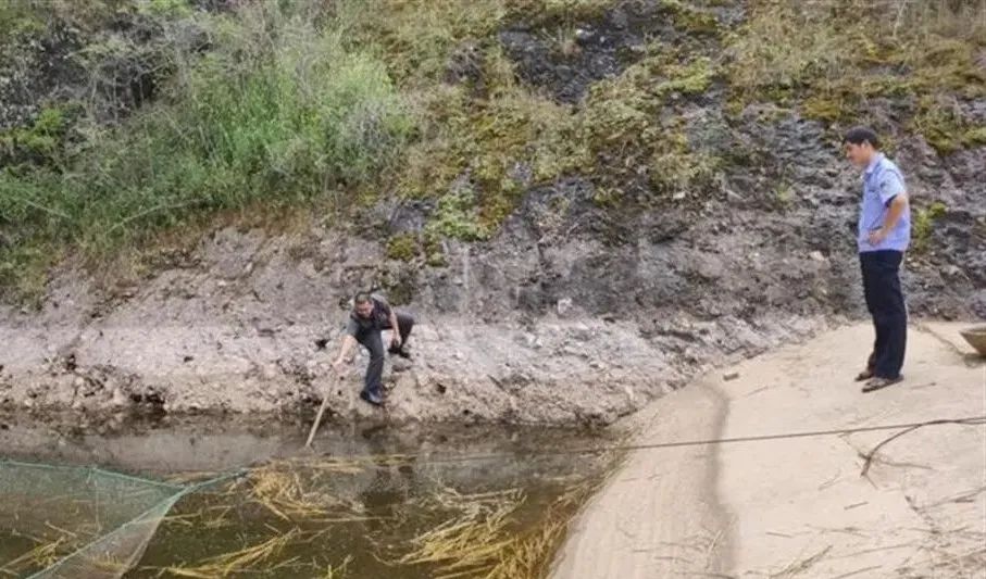 小孩溺水身亡，父母被判全责！看律师怎么说→休闲区蓝鸢梦想 - Www.slyday.coM