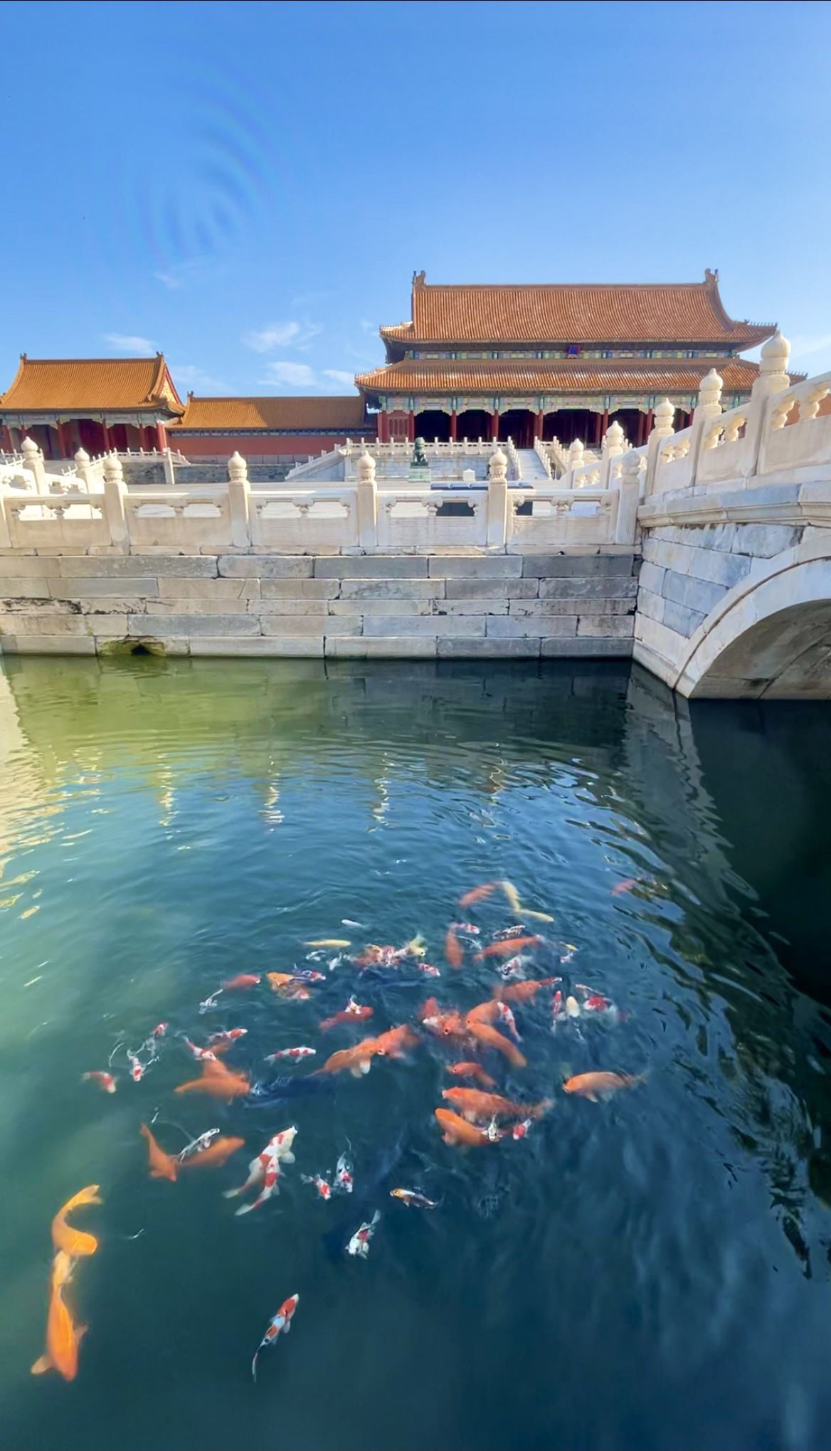 北京紫禁城水景图片