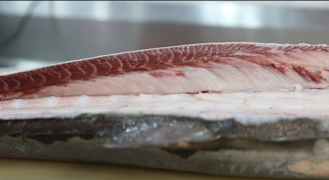 往后鱼生你的胃与大海之间隔着一条章红鱼